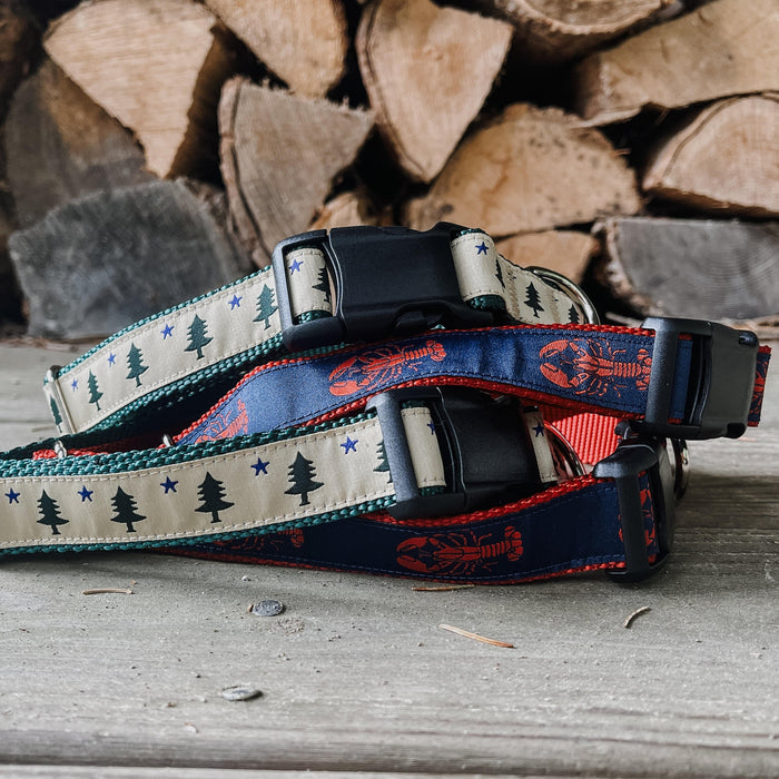 Maine Dog Collars and Leashes