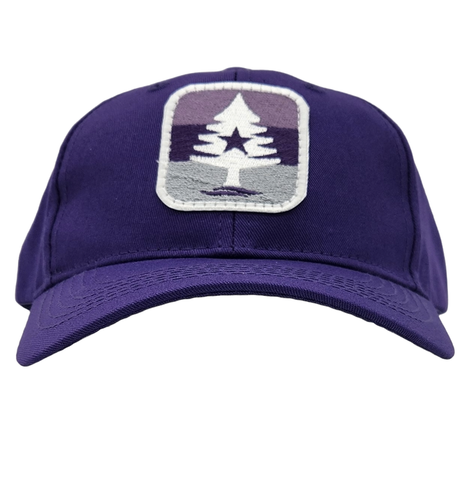 Youth Mauve Stripe 7 Twill Hat